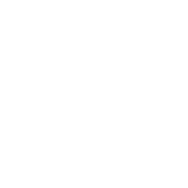 大会詳細スケジュール